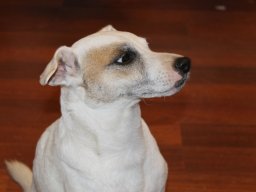img_3414_web